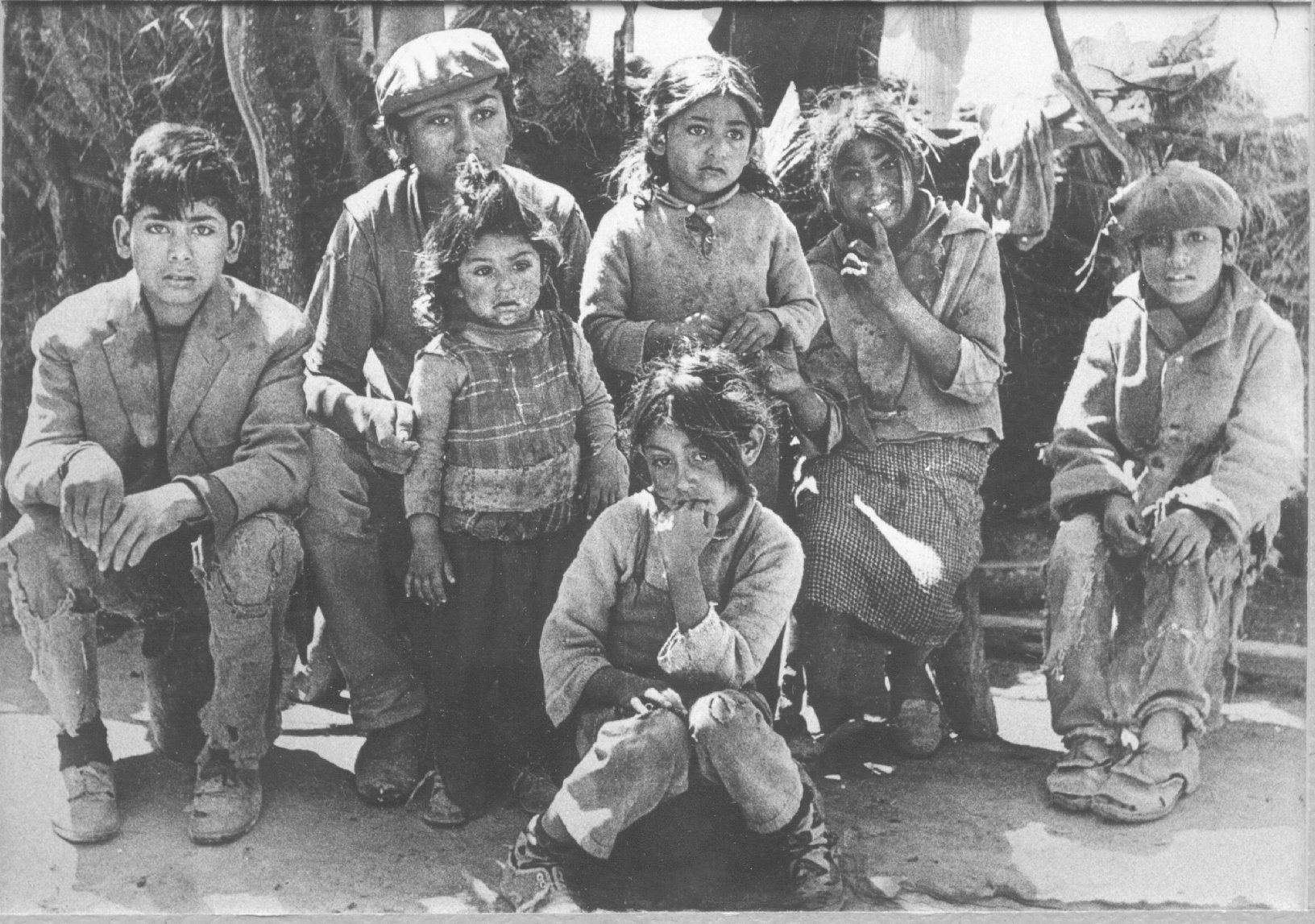 Foto Mural de los hijos de Zerda a