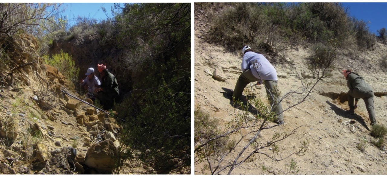 2026 02 11 Articulo INCITAP 2