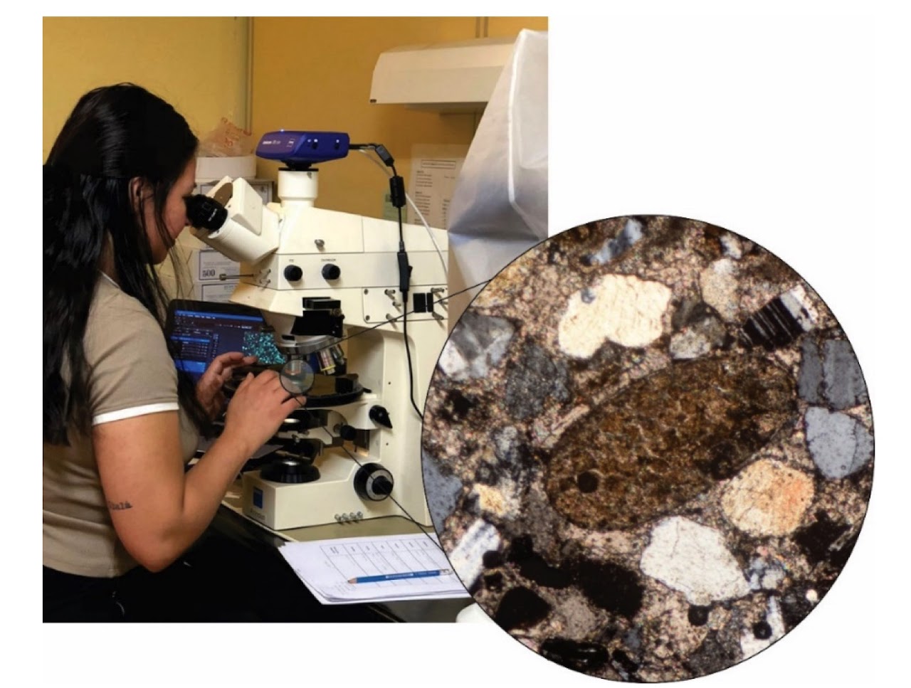 2026 02 11 Articulo INCITAP 3