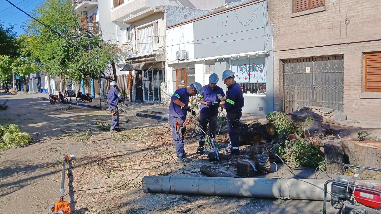 2026 02 20 Trabajos por tormenta Telecomunicaciones 1